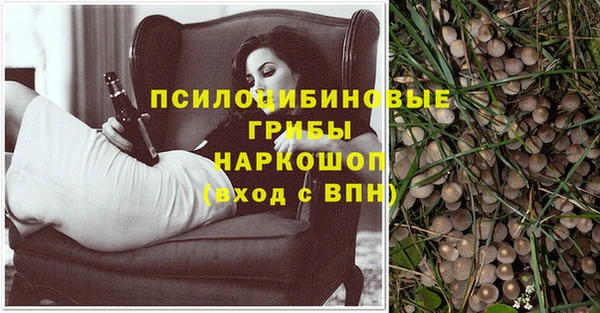 шишки Алексеевка