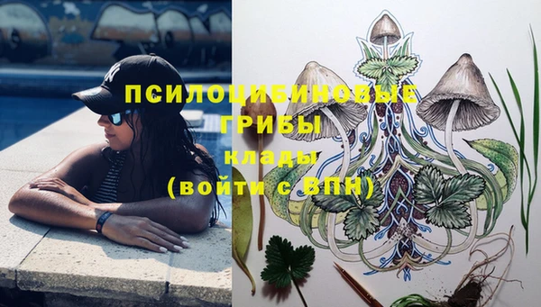 шишки Алексеевка
