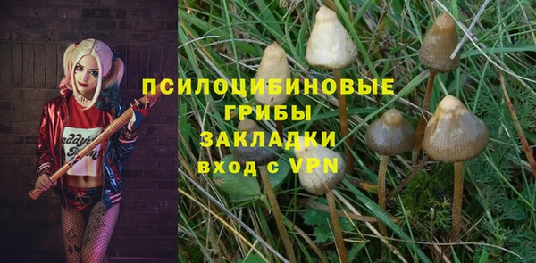 ECSTASY Алексин