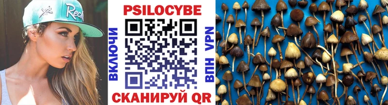 Псилоцибиновые грибы Psilocybine cubensis  купить  цена  Лихославль 